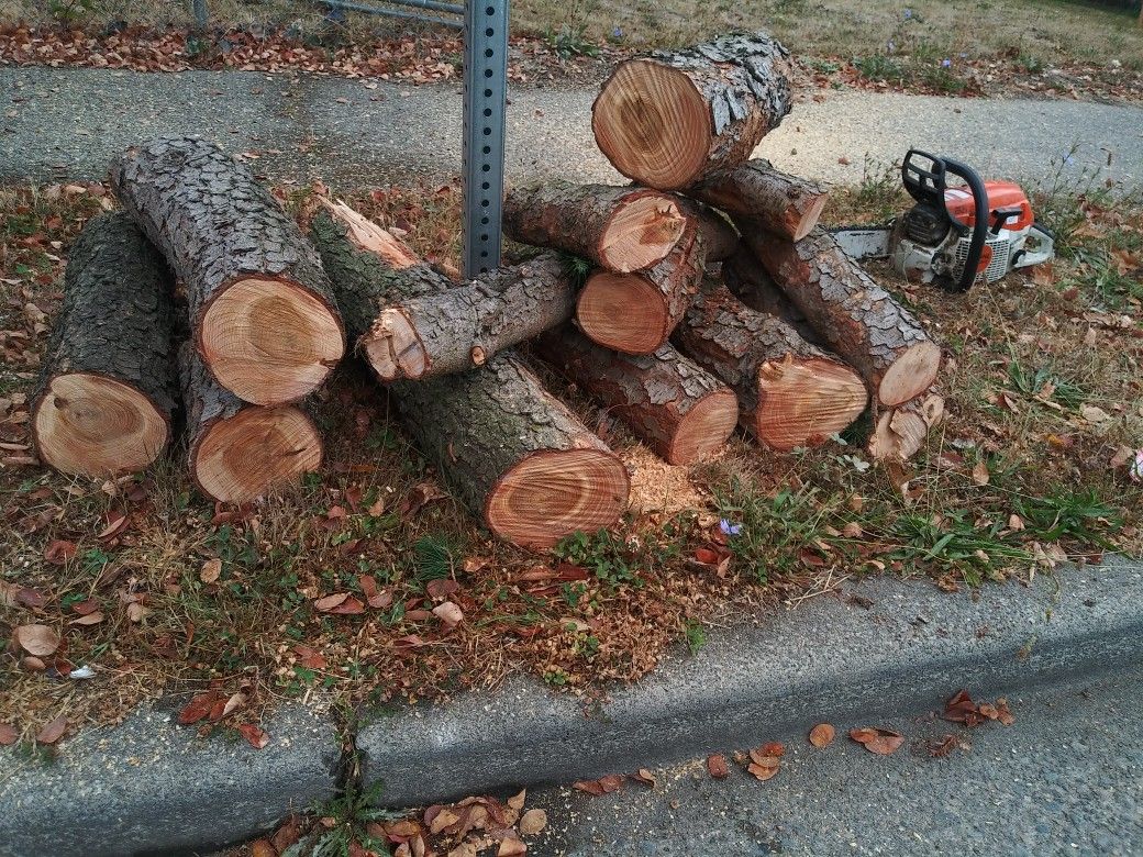 Free Fire Wood .... Free Delivery