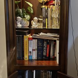 Walnut stereo, cd And Books Cabinet