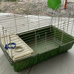 Pet Home