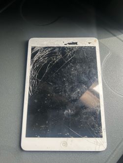 iPad mini