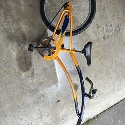 Trail-A-Bike with Hitch