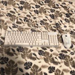 Gaming Keyboard and Mouse