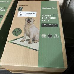 Cases Of XL Puppy Pads $12/case Two For $20
