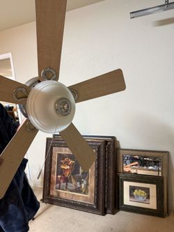 Indoor Ceiling Fan W/Light