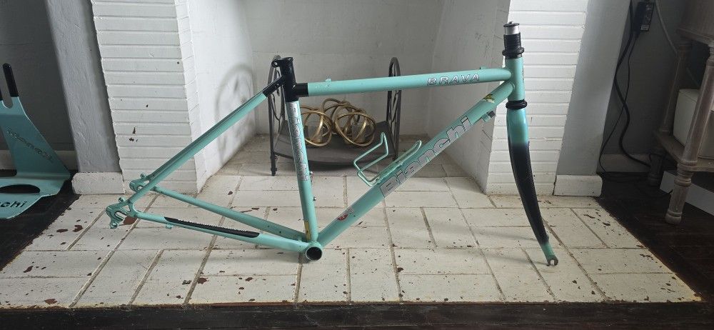 2005 Bianchi Brava 50cm Frameset