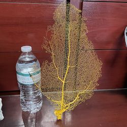 Fish Tank / Aquarium Corals