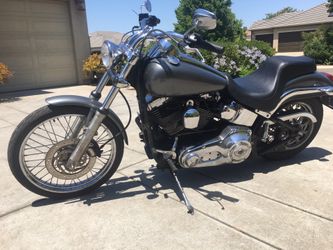 Harley-Davidson softtaill