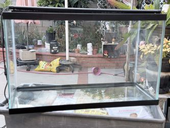29 Gallon Glass Rectangle Aquarium