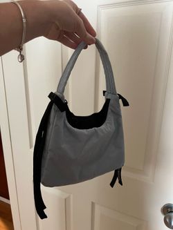 NWOT baggu x sandy liang