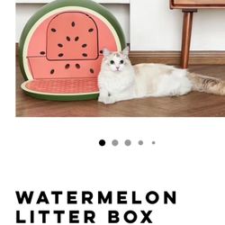 Litter Box 
