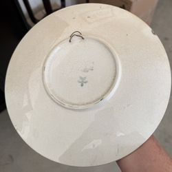 Beautiful Rose On Plate 