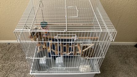 Bird home/cage