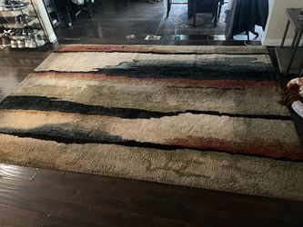 11 x 8 Area Rug (Used)