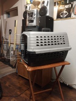 PET   CARRIER   🐈 🐕 🐩 🐓 🐇