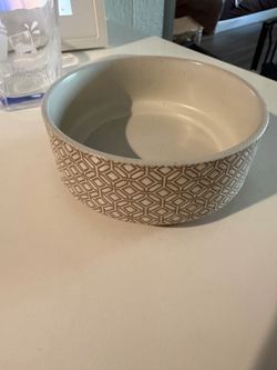 Cat bowl