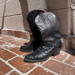 Mens Ostrich Boots/ Botas De Hombre Avestruz
