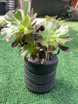 Plant Gift In 3 Stacked Tire Shaped Planter