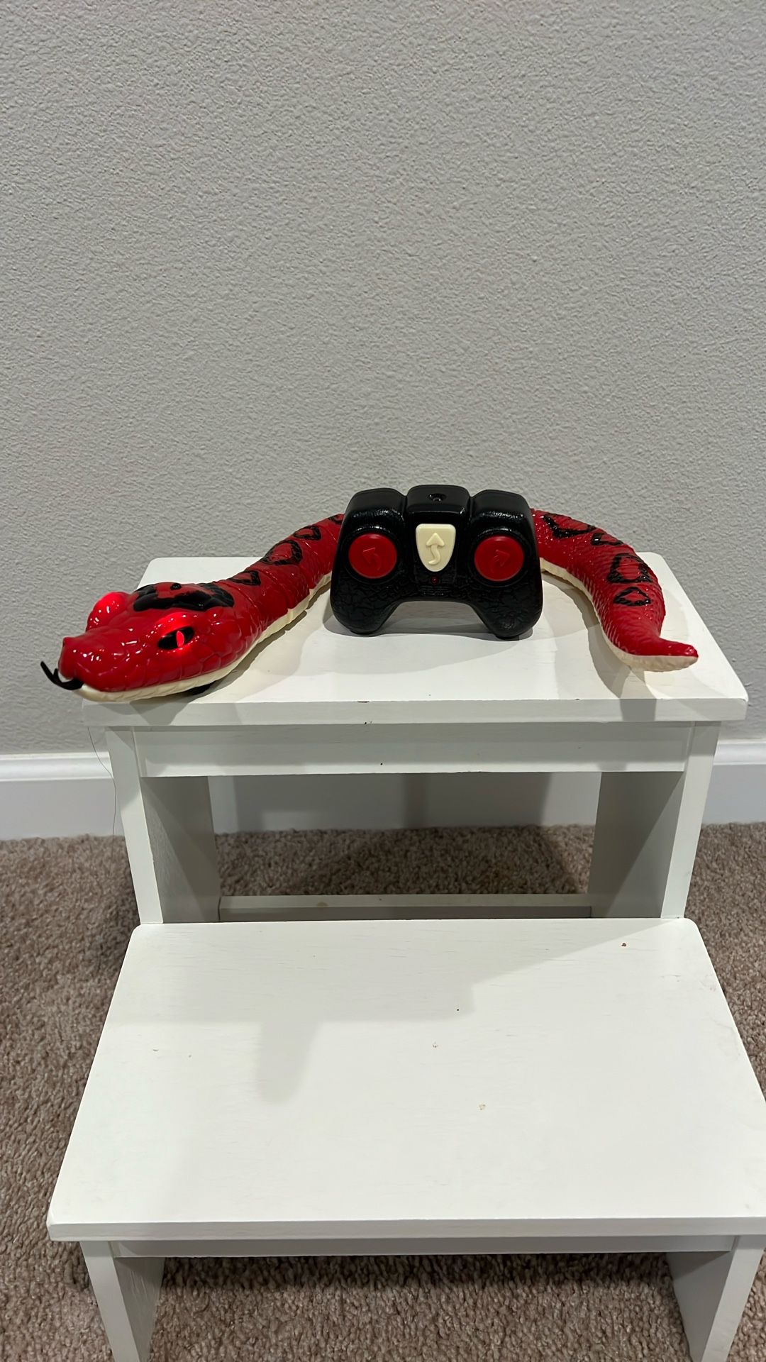 Remote Control Snake