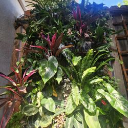 Hanging Vertical Plant Wall
