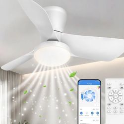 Ceiling Fans Lights with APP & Remote Control: 30 Inch Low Profile Ceiling Fans with Lights Reversible Small Flush Mount Ceiling Fan 3 Colors Quiet 6 