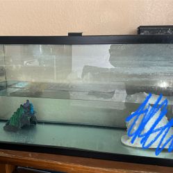 Fish Tank 