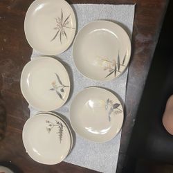 China plates
