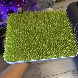 Boon Lawn Countertop Baby Bottle Drying Rack with Antimicrobial Tray - Spring Green - Bottle Rack an