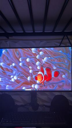 Monitor Samsung odyssey g6 oled 360hrz