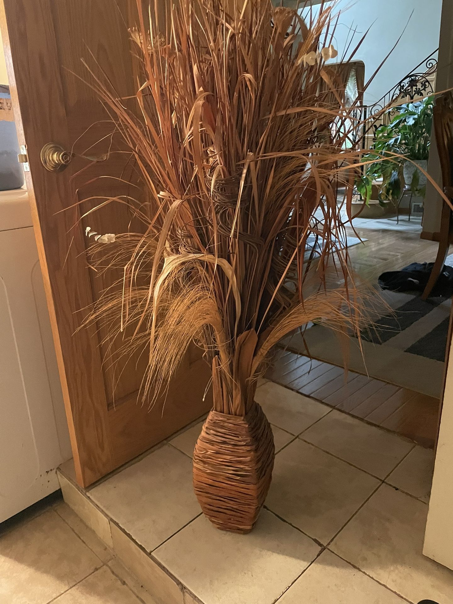 Tall Plant