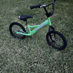 Strider Training Bike