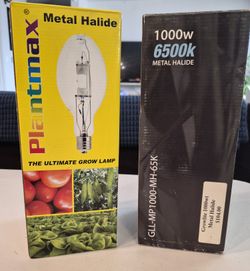 Grow Bulbs