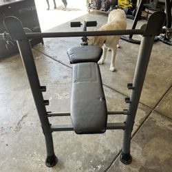 Weight Bench