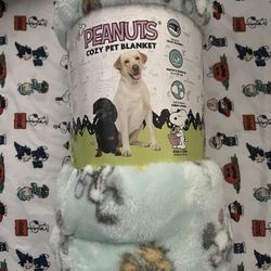 SNOOPY BLANKET 
