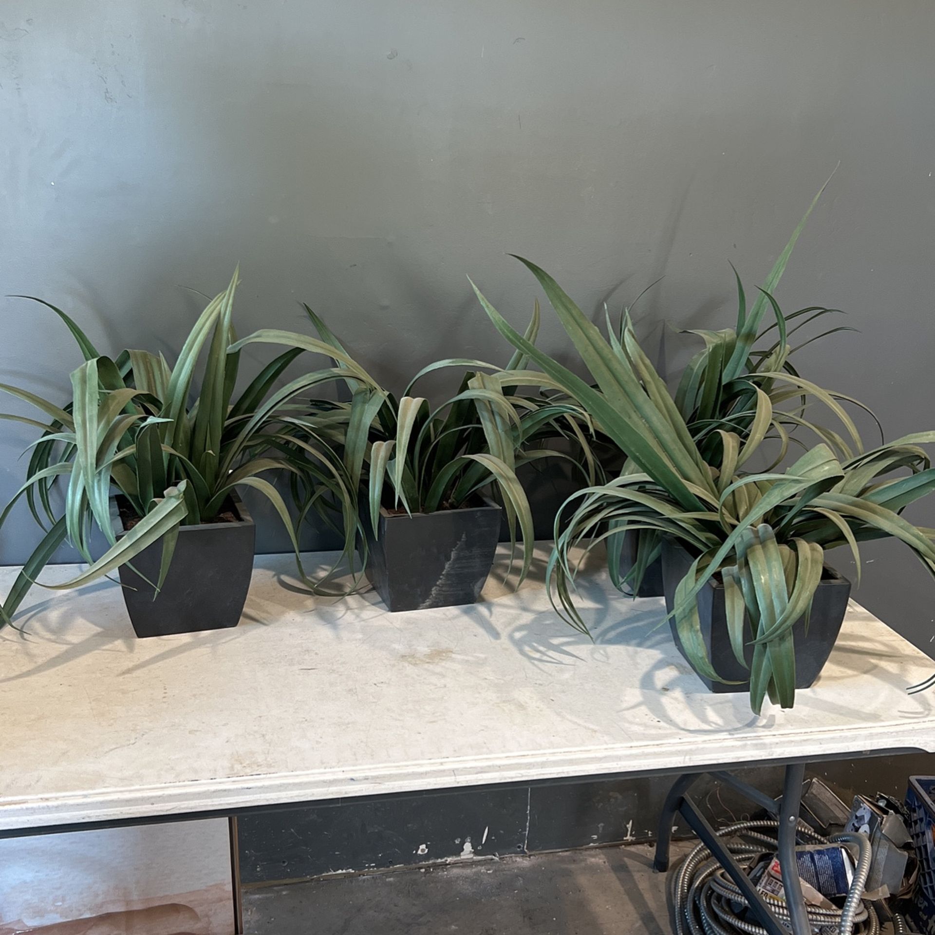 Fake Plants