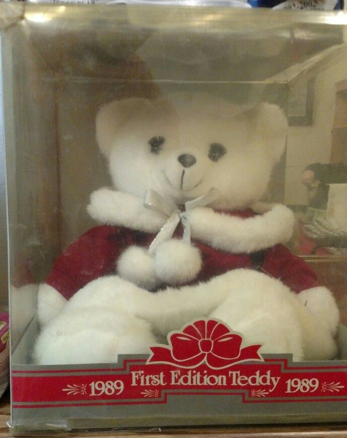 Teddy Bear In Box...Never Opened.