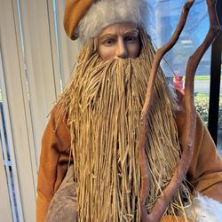Lifesize Viking 