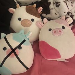 Squishmallows 