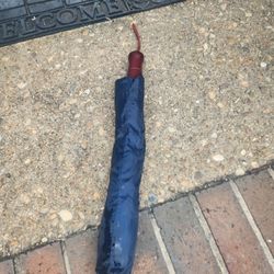 Umbrella 