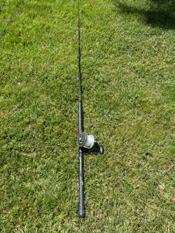 Penn 113 + California rod