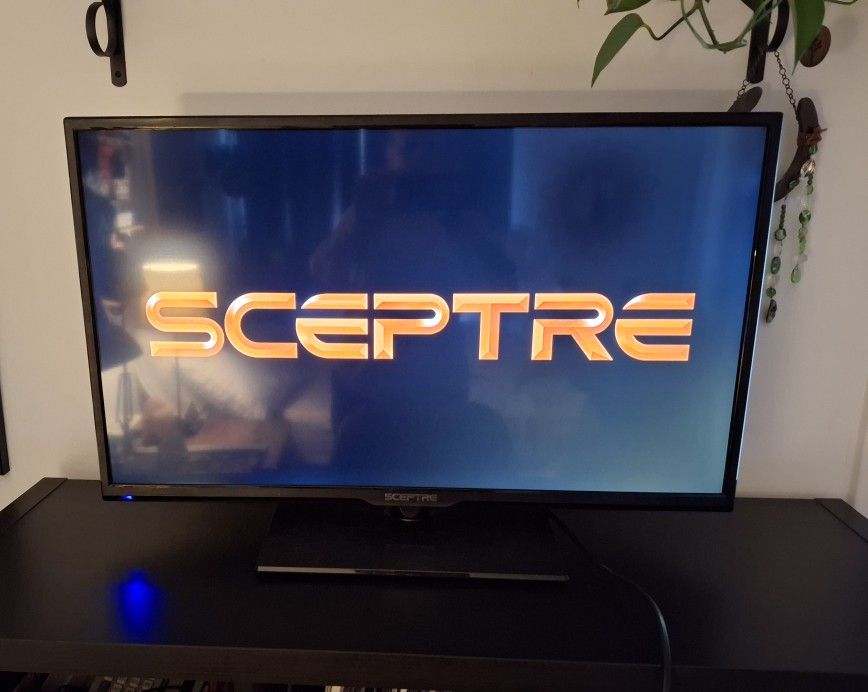 Flat Screen TV $25