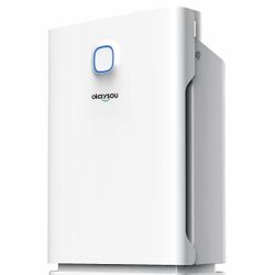 Okaysou Air Purifier