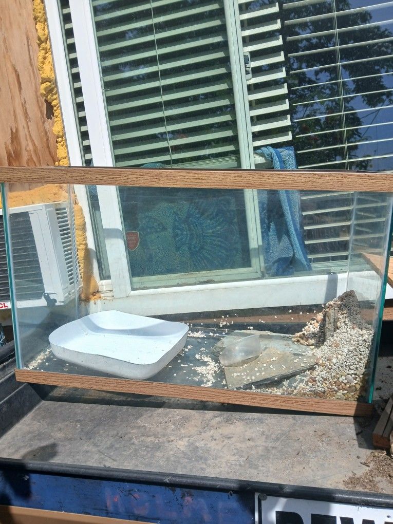 Turtle Tank