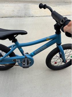 REI CoOp Toddler/Little Kid Bike
