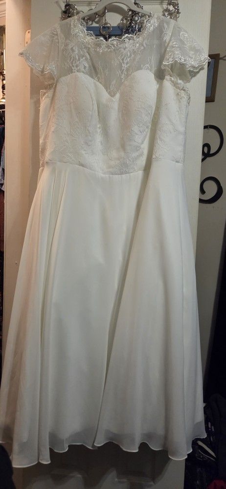 Plus Sise Wedding Dress 