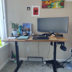 Electric Standing Desk perfect for Work From Home Office setup