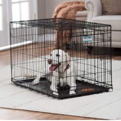 Jaula Para Pero Grandre