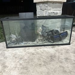 60g Fish Tank 