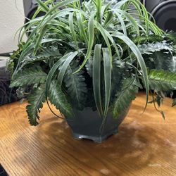 Fake Green Decor Plant With Pot