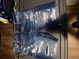 American Eagle Shorts (33)