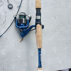 Fishing pole